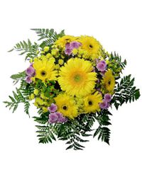 bouquet of gerberas and chrysanthemums